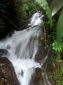 云南省,昭通市,彝良县,洛泽河镇,笋叶村