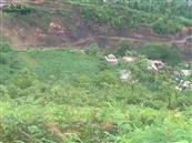 云南省,昭通市,彝良县,洛泽河镇,笋叶村