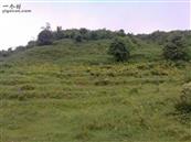 云南省,昭通市,彝良县,洛泽河镇,笋叶村