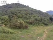 云南省,昭通市,彝良县,洛泽河镇,笋叶村