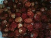 云南省,昭通市,彝良县,洛泽河镇,笋叶村