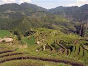 浙江省,丽水市,庆元县,龙溪乡,鱼川村