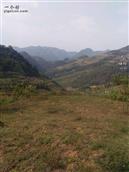 云南省,昭通市,彝良县,洛泽河镇,簸以村