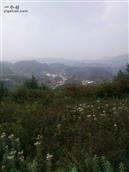 云南省,昭通市,彝良县,洛泽河镇,簸以村