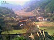 柳林村 