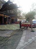 陕西省,渭南市,富平县,张桥镇,巨贤村