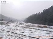 老江河村 村中雪景