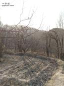 甘肃省,白银市,靖远县,兴隆乡,马尾村