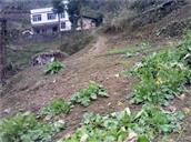 重庆市,万州区,熊家镇,松柏村