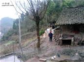 重庆市,万州区,熊家镇,松柏村