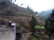 重庆市,万州区,熊家镇,松柏村