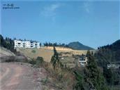 重庆市,万州区,熊家镇,松柏村