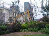 重庆市,万州区,熊家镇,松柏村