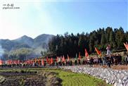 茶阳村 