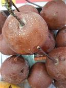 甘肃省,白银市,靖远县,兴隆乡,马尾村