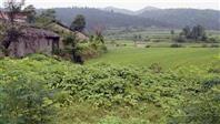 广西,桂林市,全州县,东山乡,白竹村