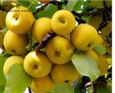 甘肃省,白银市,靖远县,兴隆乡,马尾村