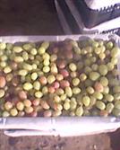 甘肃省,武威市,古浪县,海子滩镇,土沟井村