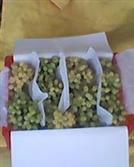 甘肃省,武威市,古浪县,海子滩镇,土沟井村