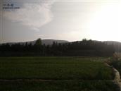 甘肃省,天水市,武山县,洛门镇,旱坪村