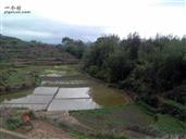 广东省,梅州市,五华县,龙村镇,三湖村