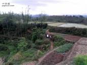 广东省,梅州市,五华县,龙村镇,三湖村