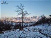 甘肃省,陇南市,礼县,草坪乡,湾里村