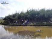 甘肃省,陇南市,礼县,草坪乡,湾里村