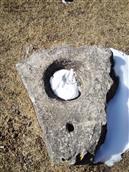 甘肃省,陇南市,礼县,草坪乡,湾里村