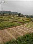 龙泉村 