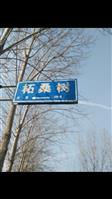 河南省,濮阳市,濮阳县,鲁河镇,柘桑树村