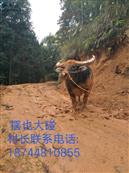 贵州省,黔东南州,从江县,停洞镇,摆也村