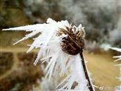 甘肃省,陇南市,礼县,湫山乡,包山村