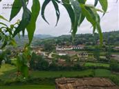 甘肃省,陇南市,礼县,湫山乡,包山村