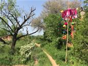 甘肃省,天水市,武山县,龙台乡,贾山村