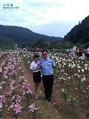 湖南省,株洲市,茶陵县,秩堂镇,晓塘村