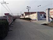 山东省,烟台市,龙口市,东江街道,大冯家村