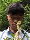 湖北省,恩施州,宣恩县,沙道沟镇,白水村