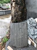 两峰村 座子佬树下石碑，由天予画苑提供