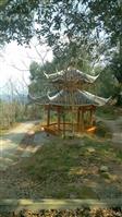 贵州省,黔东南州,天柱县,竹林乡,新寨村