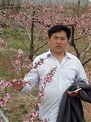 山东省,济宁市,嘉祥县,满硐乡,公庄村