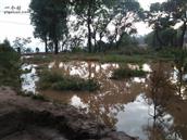 甘肃省,天水市,甘谷县,新兴镇,半屲村