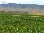 老城村 山美水美人美