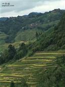 贵州省,黔东南州,从江县,刚边乡,九星村