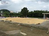 广西,玉林市,北流市,大伦镇,玉塘村