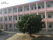 广西,玉林市,北流市,大伦镇,玉塘村