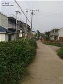 安徽省,安庆市,望江县,杨湾镇,洪湖村