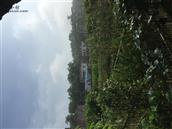 广西,玉林市,北流市,大伦镇,玉塘村