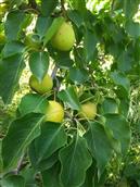 甘肃省,白银市,靖远县,兴隆乡,马尾村