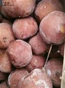 甘肃省,白银市,靖远县,兴隆乡,马尾村